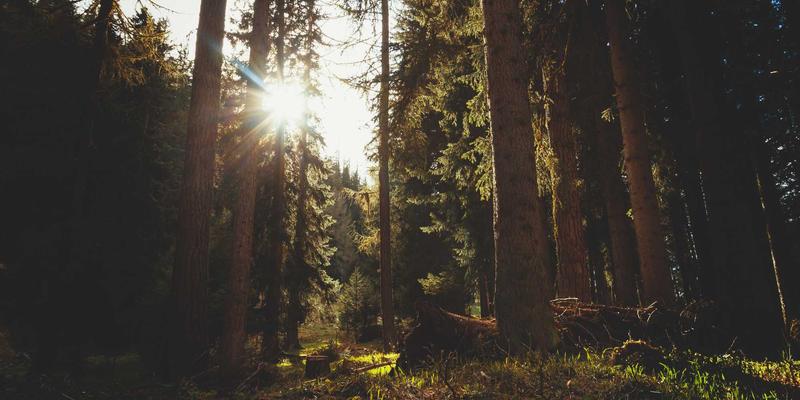 中小投资者如何参与科创板与北交所：财务规划、资产配置与风险防范全攻略