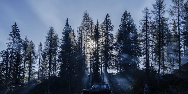 基金投资与资产配置：构建稳健财富管理的三大核心策略