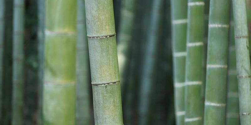 智能投顾的算法逻辑：如何通过机器人顾问优化个人资产配置组合