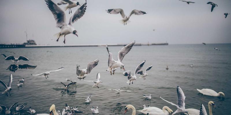 财务规划新思路：如何通过指数基金与ETF实现低成本资产配置