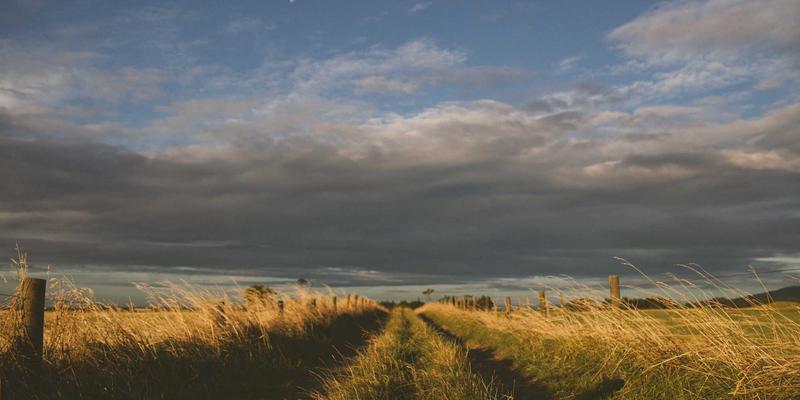 金融投资47：构建稳健财富的三重支柱——股票投资、资产配置与专业理财服务