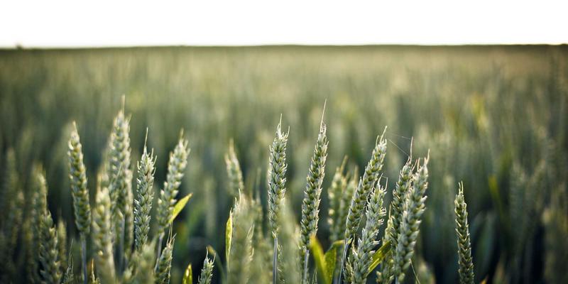 金融投资最佳实践：构建稳健财务规划与财富管理体系的三大支柱